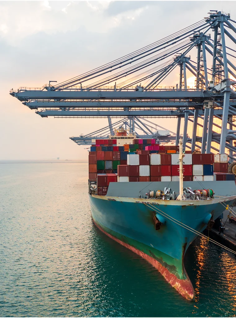 Sora Ocean Freight image 2